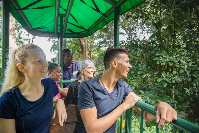 St. Lucia Aerial Tram Tour at Rainforest Adventures - Stop One: Orientation and Getting Ready