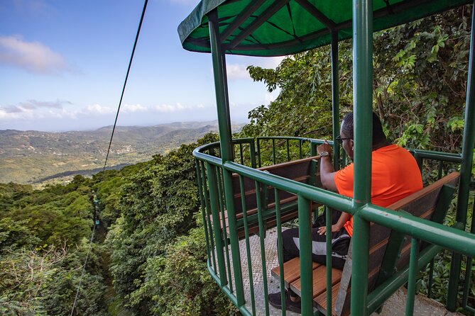 St. Lucia Aerial Tram Tour at Rainforest Adventures - Stop Three: The 20-Minute Fern Nature Trail