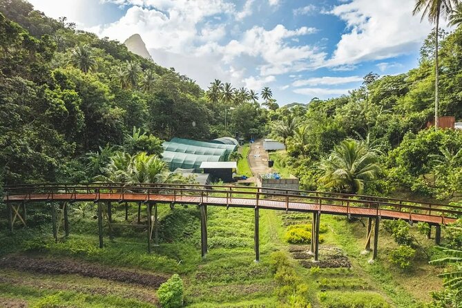 St Lucia Airport Transfer to Hotel Chocolat - The airport handoff is simple, but follow the steps