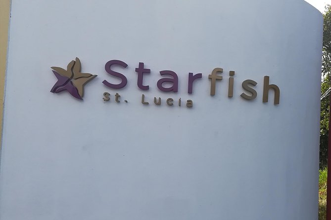 St Lucia Airport Transfer to Starfish St Lucia - Why a private transfer can be worth $69.14