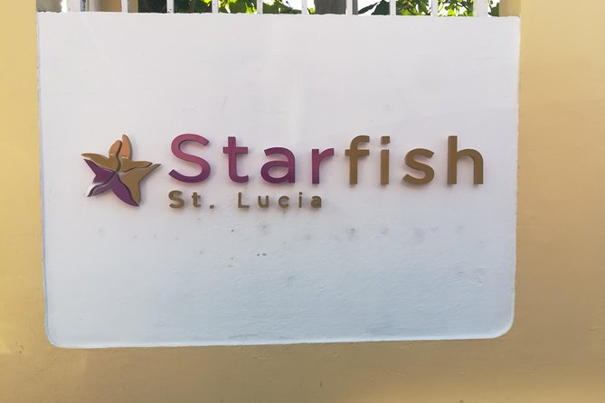 St Lucia Airport Transfer to Starfish St Lucia - Arrival service from airport doors to resort entrance