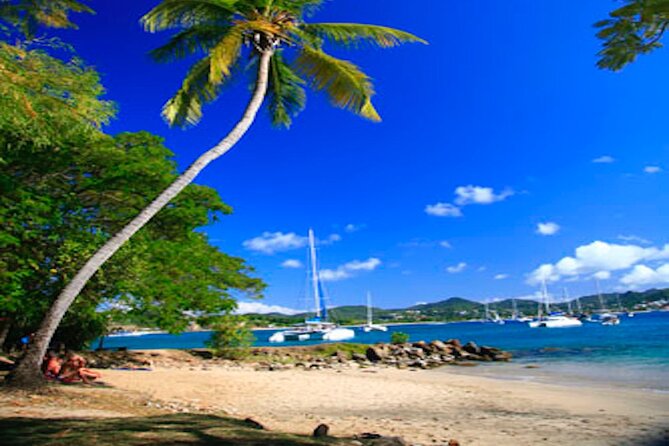 St Lucia Airport VIP Services & Private Transfers - Is $99 per person a fair price?