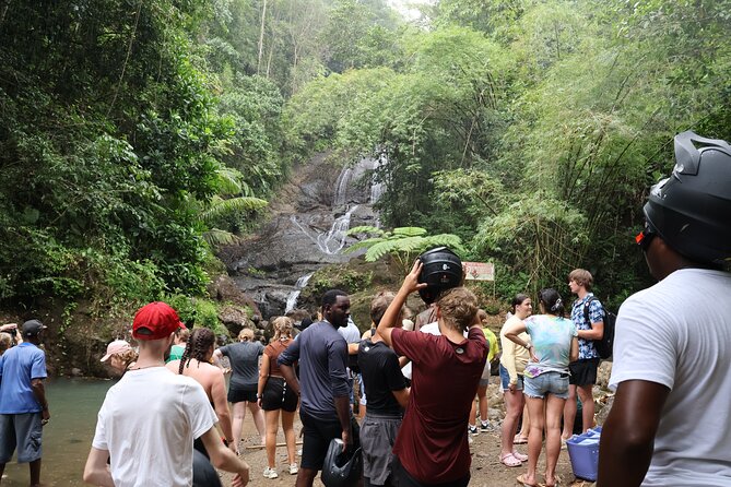 St Lucia ATV Tour : Waterfall, Plantation, Beach and Distillery - Meeting Farmer Peter among the banana plants