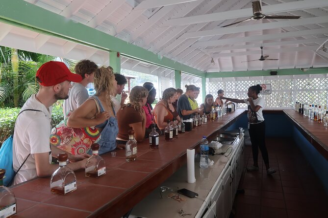St Lucia ATV Tour : Waterfall, Plantation, Beach and Distillery - Roseau Beach and Clive’s rum punch
