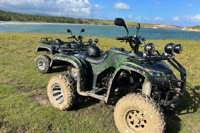 St Lucia ATV Tours (Best on Island) - Forest scenery without a full rainforest trek