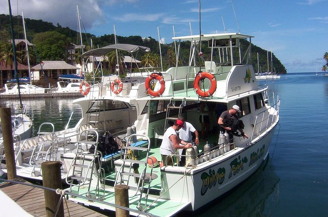 St Lucia Beginner Scuba Diving Tour - Why this works well for a first underwater experience