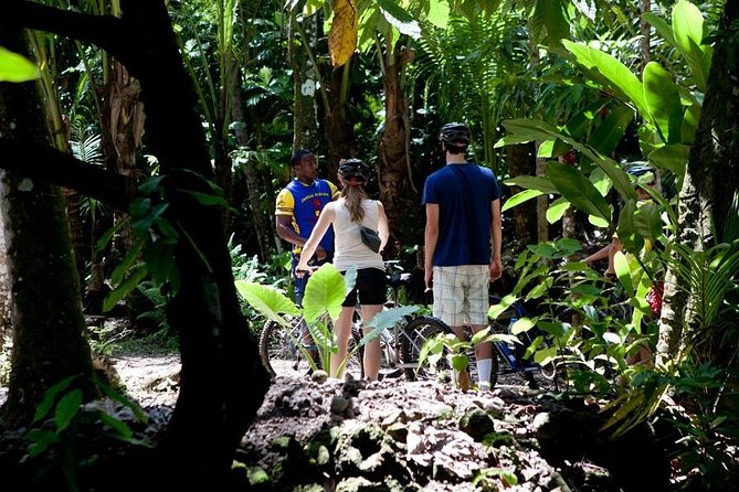 St Lucia Bike and Hike - Nature interpretation is one of the best reasons to go