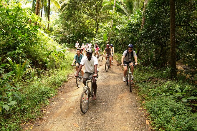 St Lucia Bike and Hike - The bike route: pretty, practical, and demanding