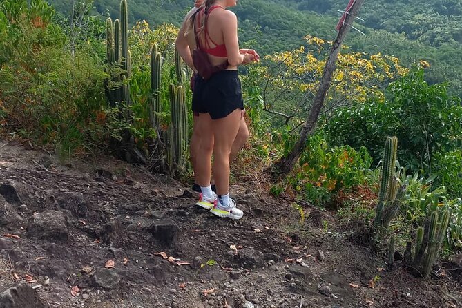 St Lucia Billy Goat Trail Hike in Marigot Bay Cruise Passengers - The 550-Foot Viewpoint Above Marigot Bay