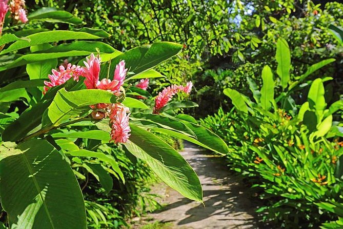 St. Lucia Botanical Gardens and Waterfall Tour Groups only - Key points at a glance