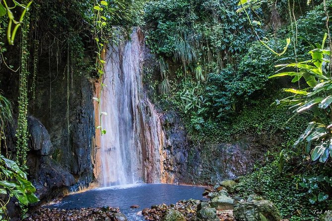 St. Lucia Botanical Gardens and Waterfall Tour Groups only - Seeing Gros Piton and Petit Piton from the road