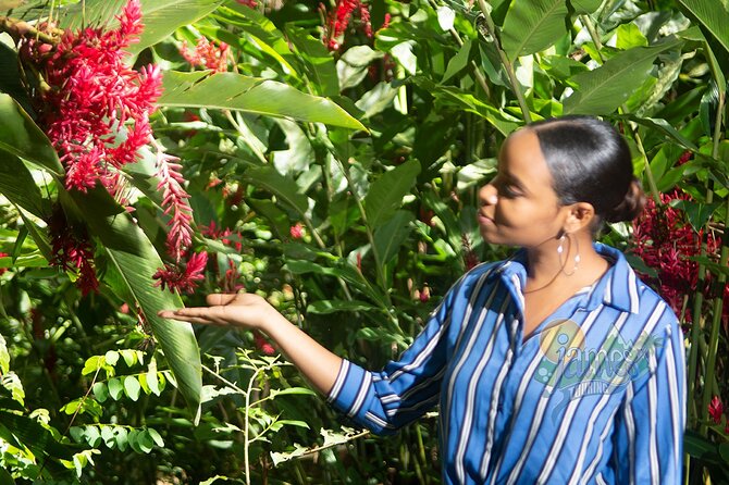 St. Lucia Botanical Gardens and Waterfall Tour Groups only - Comfort, group size, and the long drive