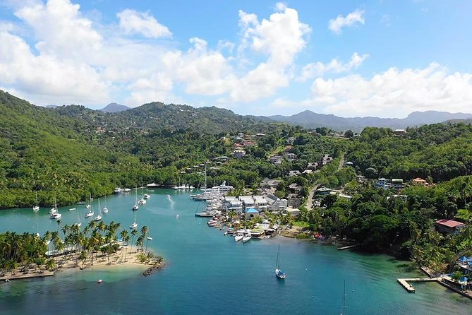 St. Lucia Botanical Gardens and Waterfall Tour Groups only - Diamond Botanical Gardens and the waterfall