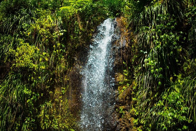 St Lucia Cruise Ship Excursion - Sulphur Springs puts you beside an active volcano