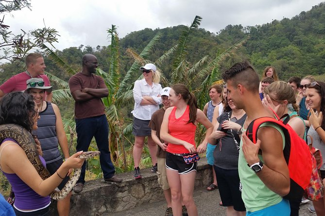 St Lucia Customize Private Island Tour - Diamond Falls, botanical gardens, and Toraille Waterfall