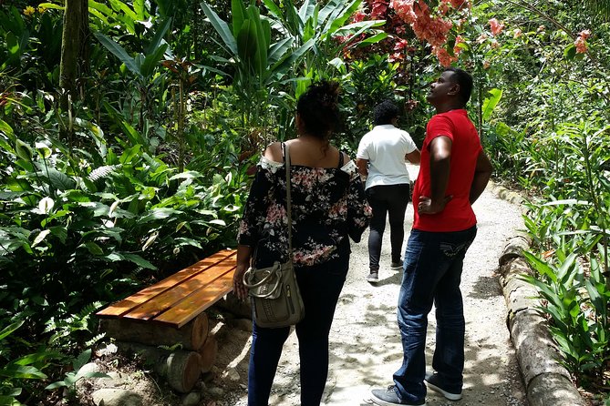St Lucia Diamond Mineral and Mud Baths Plus Waterfall Adventure - Guides, transport, and the value of a small group