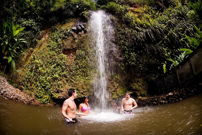 St. Lucia Drive and Snorkel Experience - Group size, timing, and practical planning