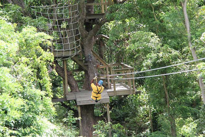 St. Lucia Morne Coubaril Estate Zipline Experience - How the guides shape the experience