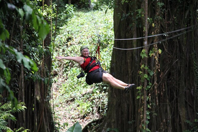 St. Lucia Morne Coubaril Estate Zipline Experience - Who will enjoy this one-hour adventure