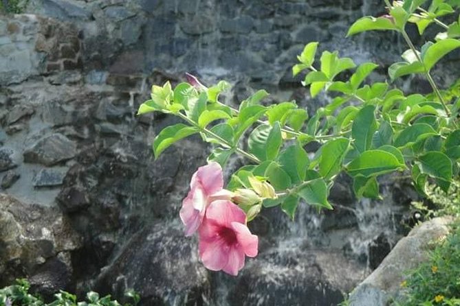 St Lucia Northern Island Tour - Key points to know before you book