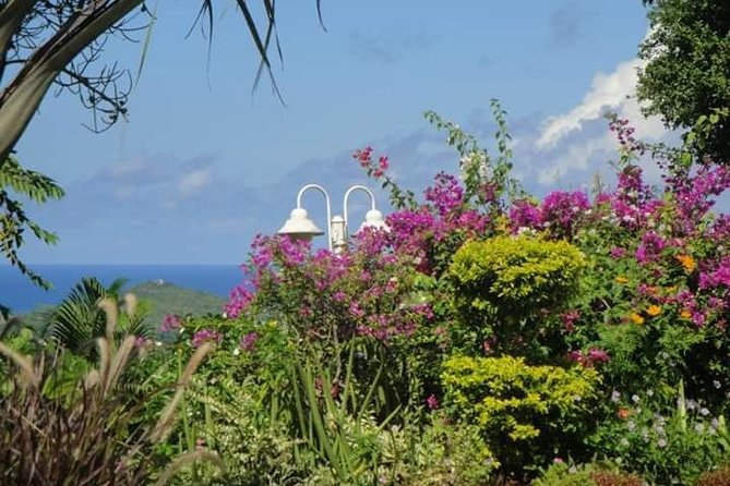 St Lucia Northern Island Tour - Why the northern route can be a smart choice