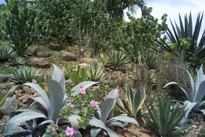 St Lucia Northern Island Tour - Lucians Country House and the short hike for views