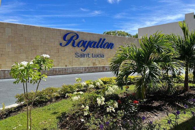 St. Lucia Private Airport Transfer to Royalton Resort and Spa - Finding your driver at the airport
