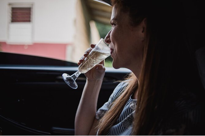 St Lucia Private Airport Transfer - Vacation Mode Activated! - A driver who can help shape the rest of your stay