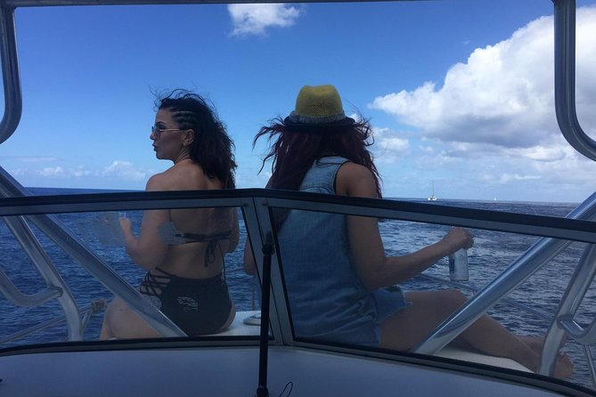 St. Lucia Private Boat Tour, Mud Bath, Waterfall & Beach Time - Who should book this St. Lucia excursion?
