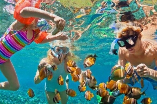 St Lucia Private Boat Tour/Sightseeing/Snorkeling - Why a private boat makes sense in St Lucia