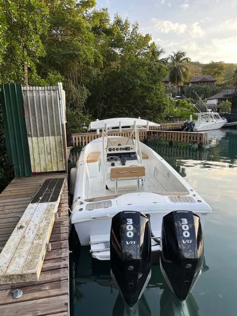 St Lucia: Private Speed Boat Tour from Castries - Who will enjoy this tour most