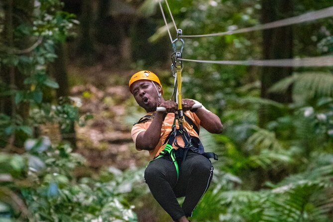 St. Lucia Rainforest Eco-Explorer: Aerial, Zip, and Hike Combo - Cruise Passengers Need to Watch the Clock