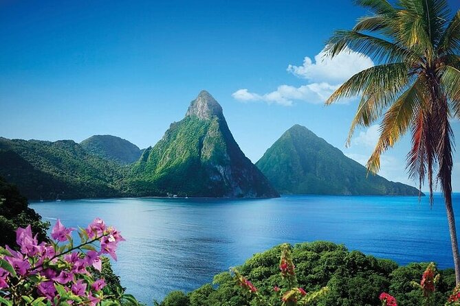St. Lucia Rainforest Eco-Explorer: Aerial, Zip, and Hike Combo - Eight Zip Lines Through the Canopy