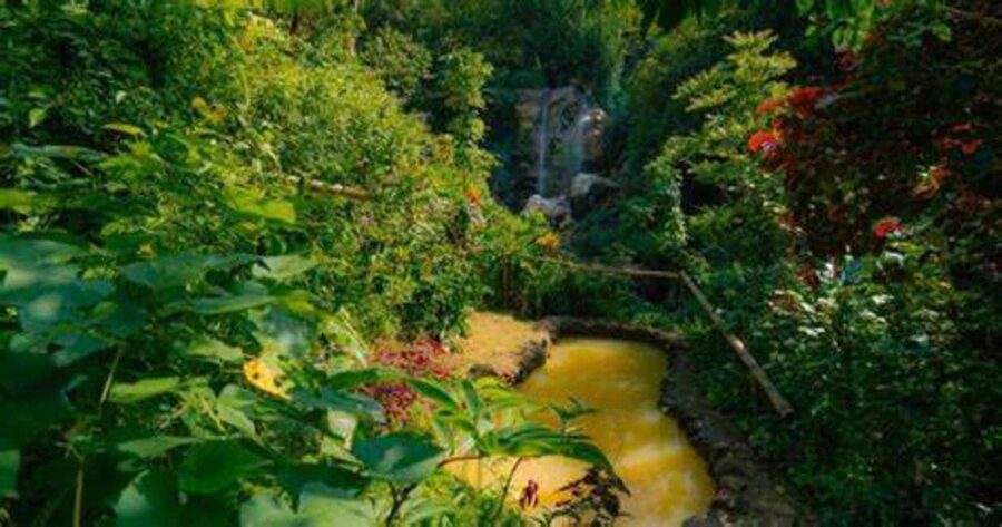 St. Lucia: Safi Estate, Volcano Waterfalls Experience - Starting near Diamond Botanical Gardens