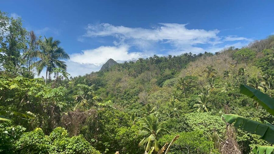 St. Lucia: Safi Estate, Volcano Waterfalls Experience - Fruit picking and the taste of the estate