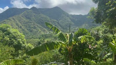 Safi Estate, Volcano Waterfalls Experience
