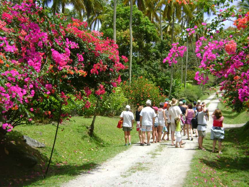 St Lucia: Sapphire Falls Hike with Cruise and Creole Lunch - The day at a glance