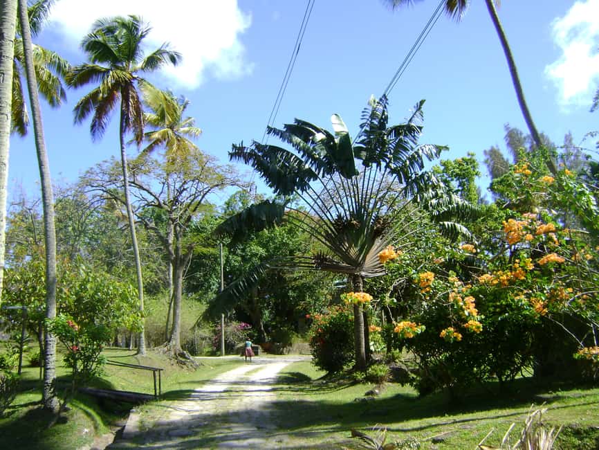 St Lucia: Sapphire Falls Hike with Cruise and Creole Lunch - Sapphire Falls and the mineral pools