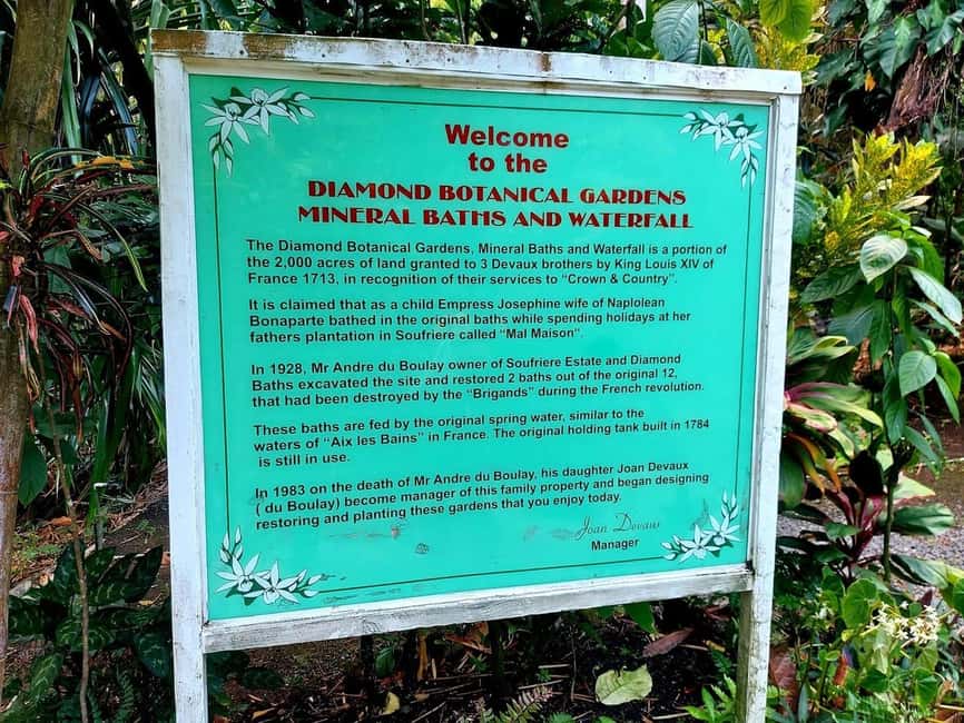 St. Lucia: Scenic Nature Hike & Botanical Garden Escape - Key points at a glance