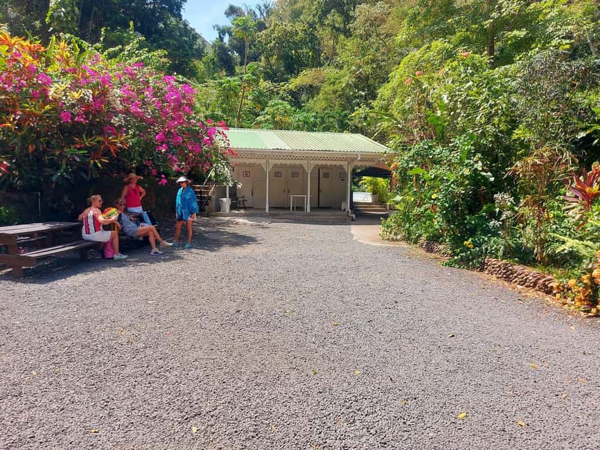 St. Lucia: Scenic Nature Hike & Botanical Garden Escape - Why this six-hour route works well