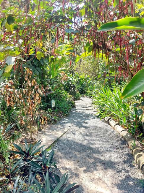 St. Lucia: Scenic Nature Hike & Botanical Garden Escape - Soufriere, French colonial connections, and Piton views
