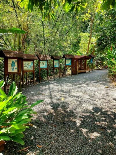 Scenic Nature Hike & Botanical Garden Escape