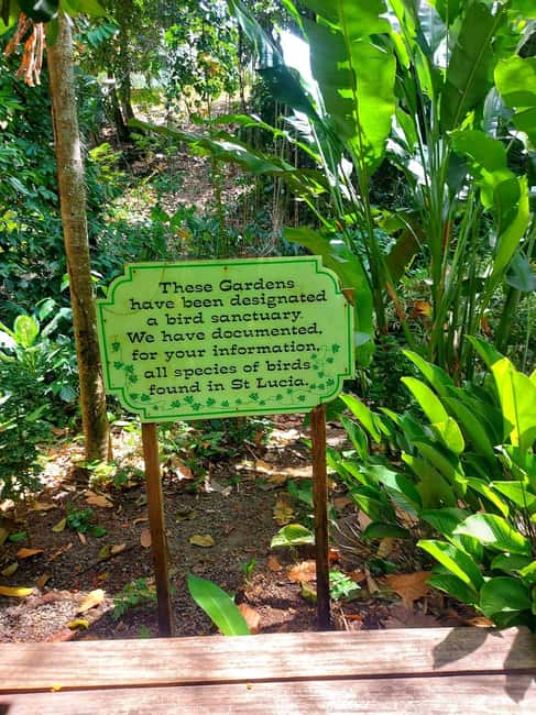 St. Lucia: Scenic Nature Hike & Botanical Garden Escape - Walking the Tete Paul Nature Trail