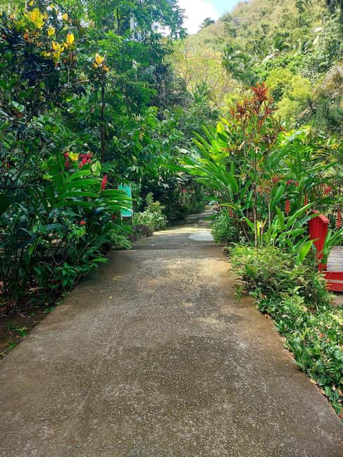 St. Lucia: Scenic Nature Hike & Botanical Garden Escape - Guides can shape the whole day