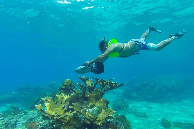 St. Lucia Speedboat and Power Snorkel From Castries - Key points to know before booking