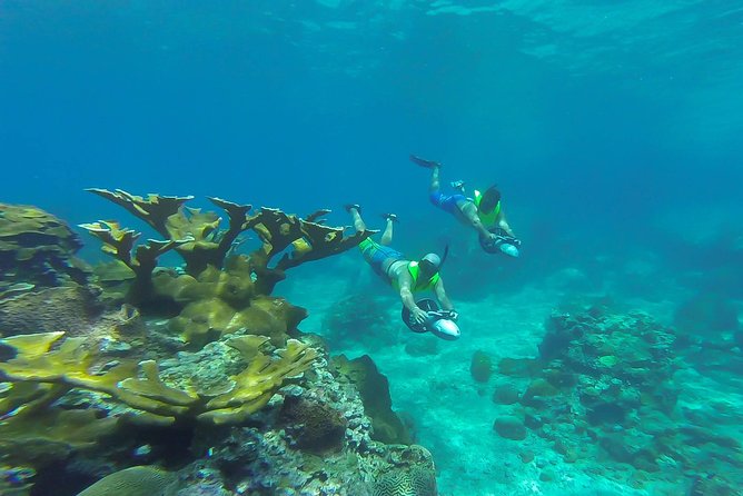 St. Lucia Speedboat and Power Snorkel From Castries - Who will enjoy this best