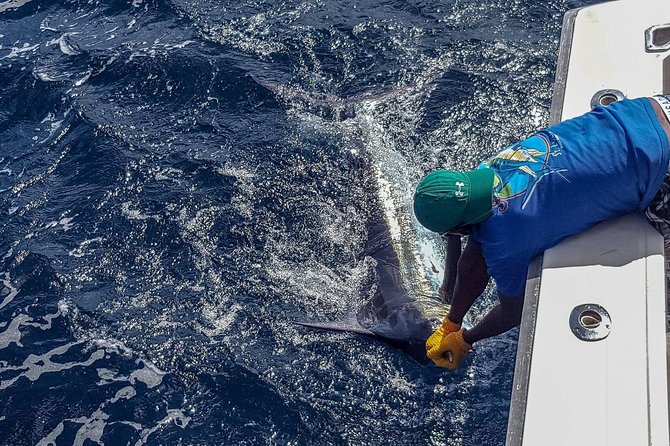 St Lucia Sport Fishing Tour - Drinks are included, but bring your own lunch plan