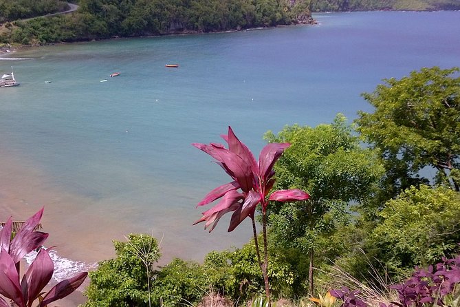 St. Lucia Tet Paul Nature Trail Tour - What the Transport Adds to the Price