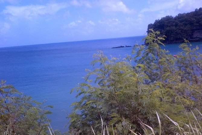 St. Lucia Tet Paul Nature Trail Tour - Who Will Enjoy This Tour Most