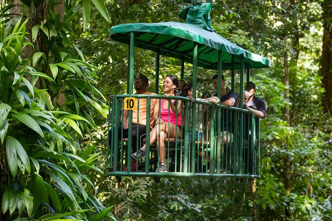 St Lucia Ultimate 3: Aerial Tram, Zipline and Hiking at Rainforest Adventures - Eight zip lines through the canopy